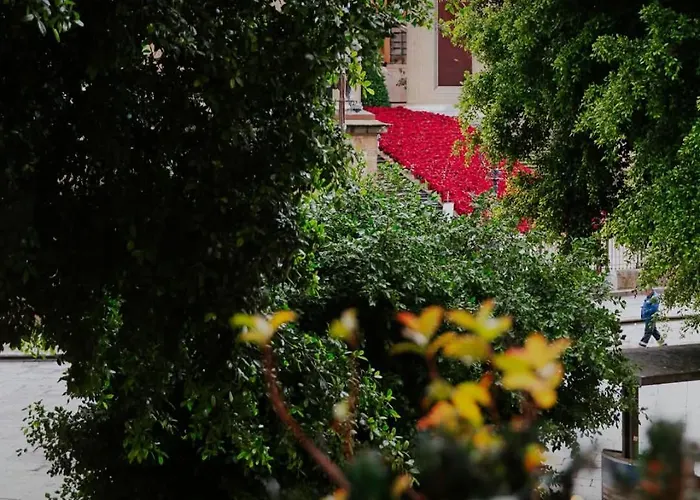 Hotel Massimo Plaza 4*